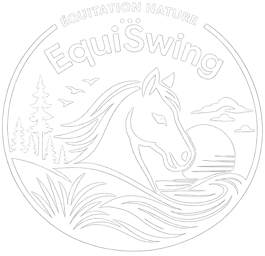 EquiSwing en Bretagne, école d'équitation nature